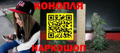 Альфа ПВП Новодвинск