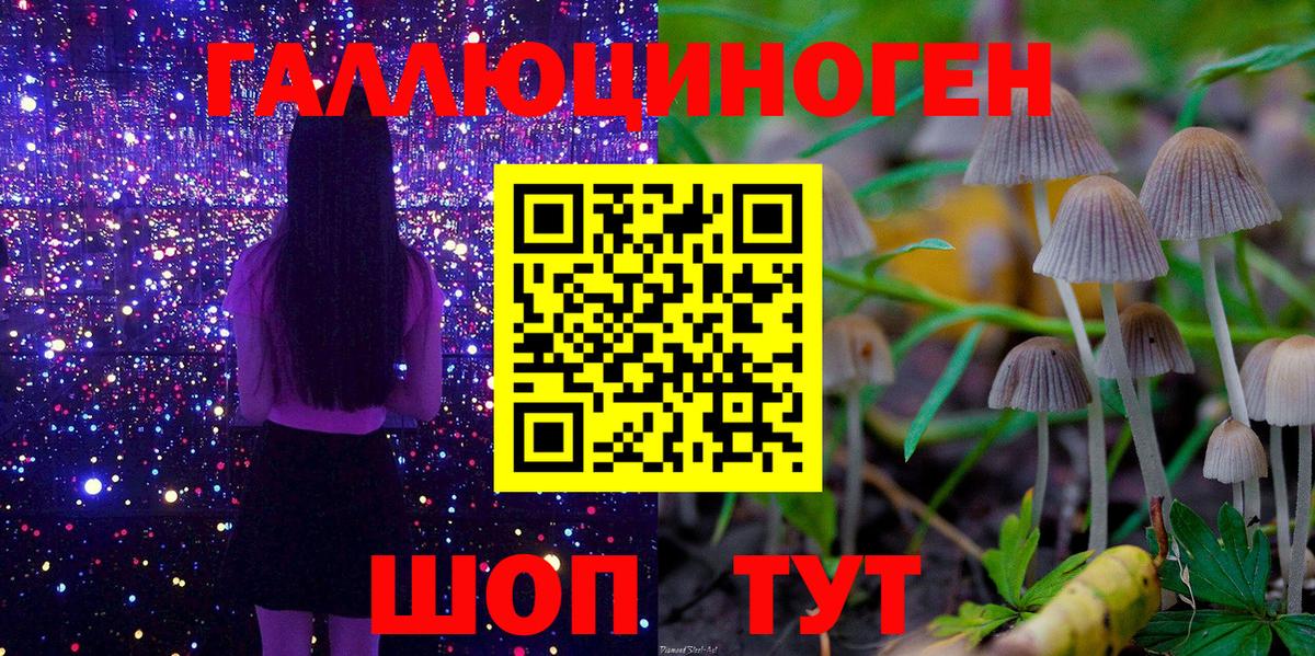 Псилоцибиновые грибы GOLDEN TEACHER  Галлюциногенные грибы MAGIC MUSHROOMS  Вход с VPN  Ульяновск 