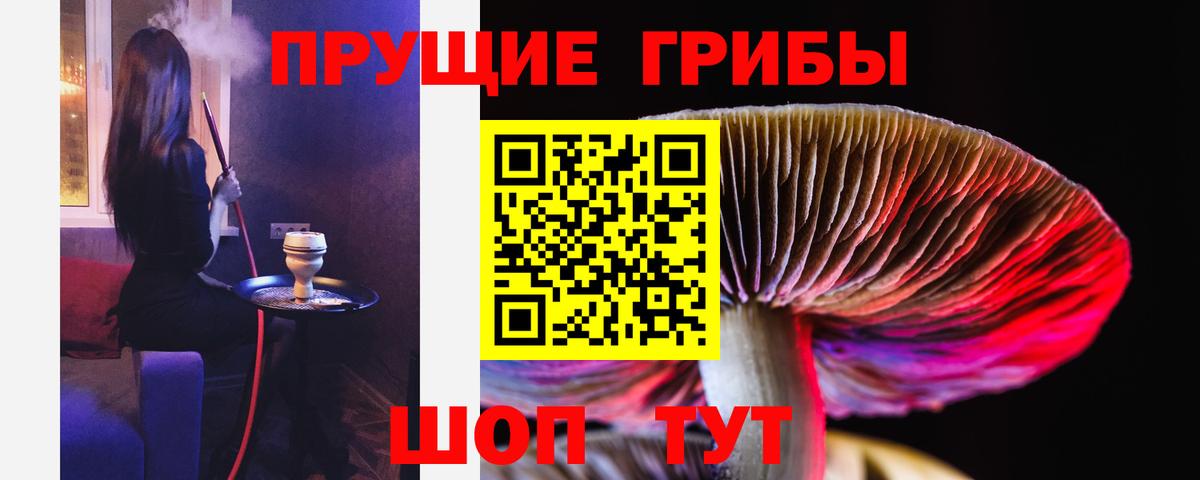Псилоцибиновые грибы Psilocybine cubensis Ульяновск